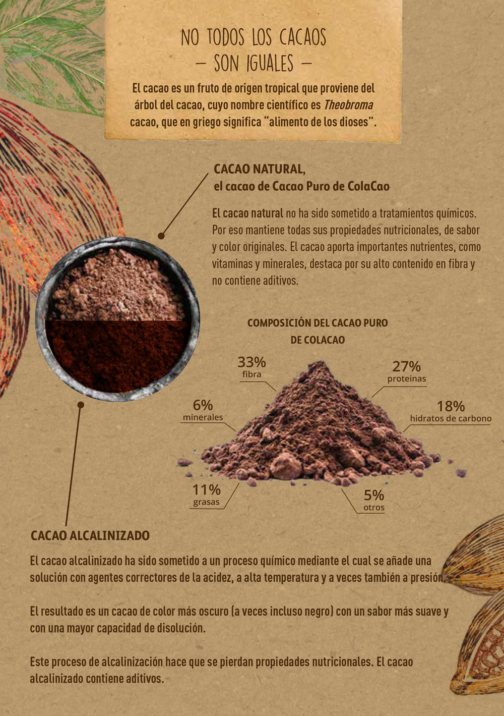 Infografía Cacao